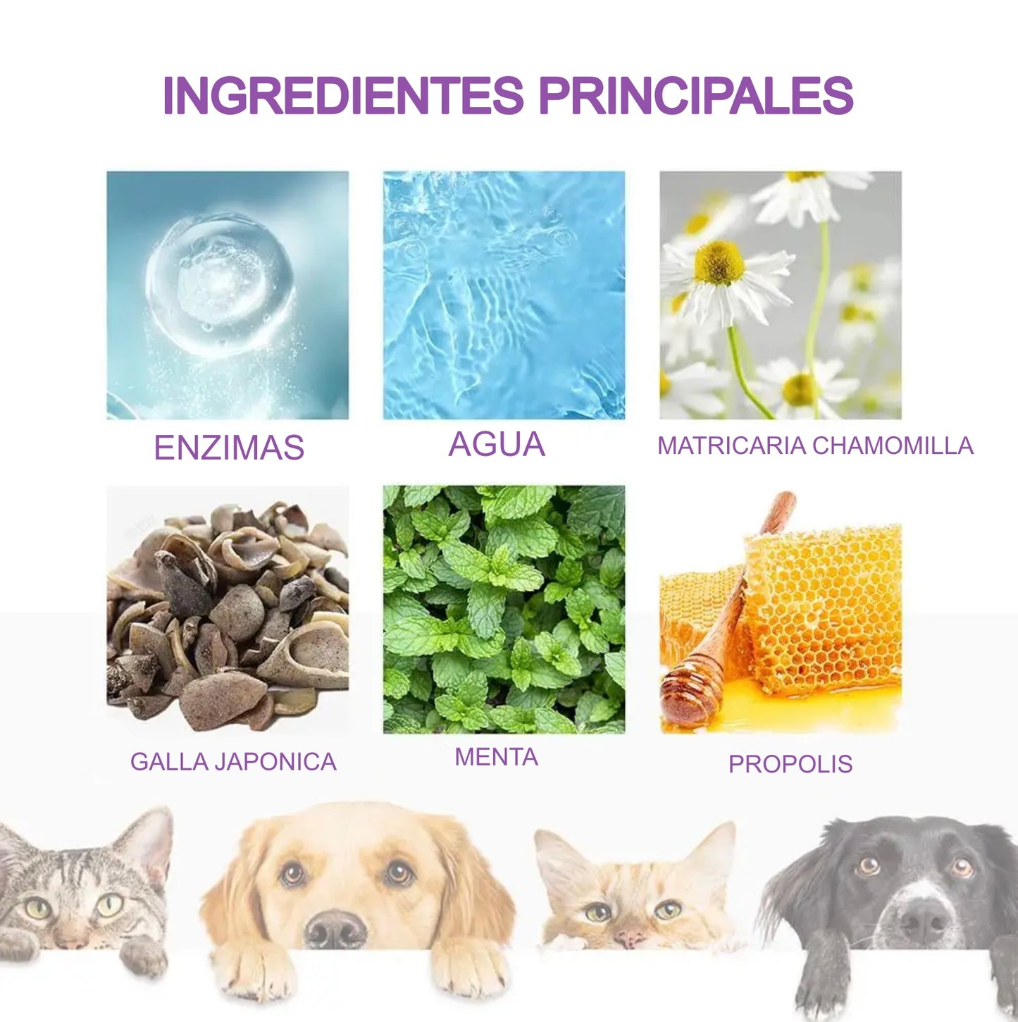 Spray Bucal Canino