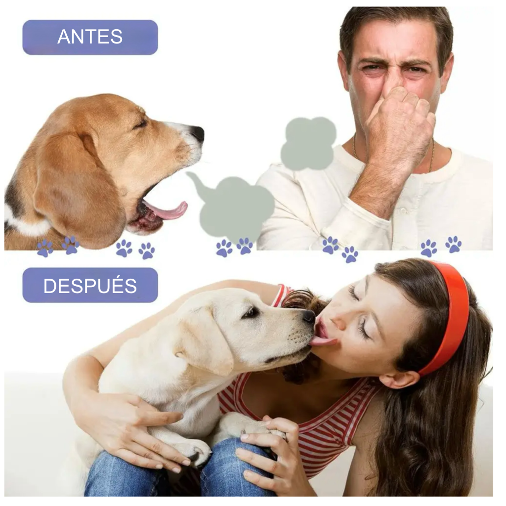 Spray Bucal Canino