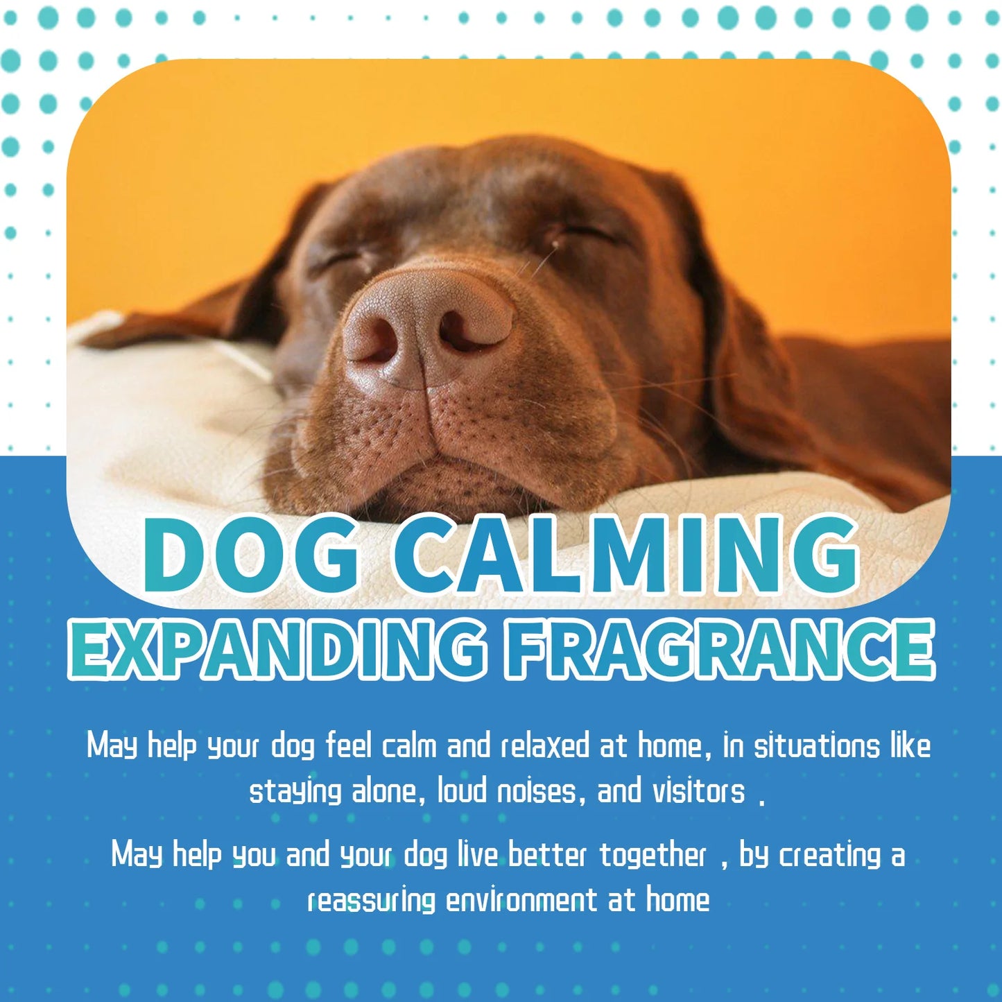 Difusor Relajante para Mascotas