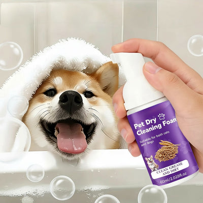 Champú Seco Espuma- Perros & Gatos